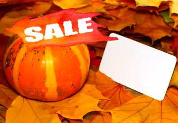 FX №195023 Sale Invitation autumn with pumpkin and autumn leaves
