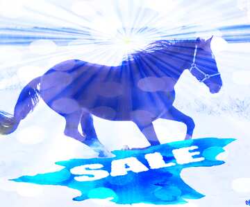 FX №195298 Horse in the snow winter sale banner template design background