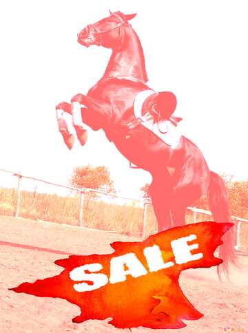 FX №195602 Sale background Horse Dance