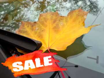 FX №195039 Autumn car sale discount banner design letter
