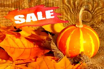 FX №195011 Beautiful picture with pumpkin and autumn leaves sale discount banner design letter
