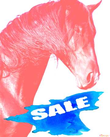 FX №195453  Sale background Horse