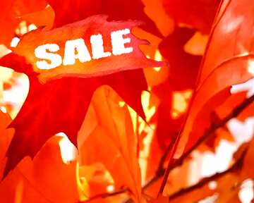 FX №195052 Autumn leaf sale discount banner design letter background template