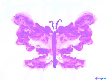 FX №195653 The painting butterfly pink