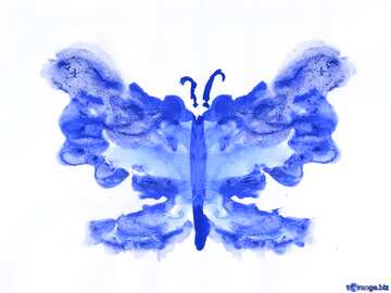 FX №195656 The painting butterfly blue