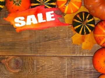 FX №195021 Autumn sales background with pumpkins