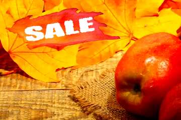 FX №195026 Autumn apples sale