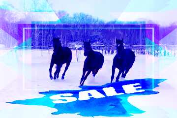 FX №195593 Three horses in the snow Sale background Template