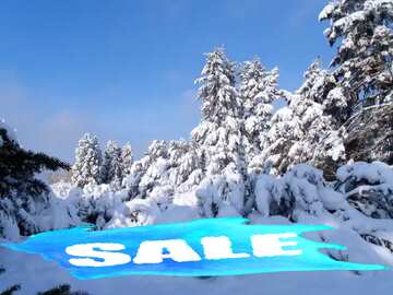 FX №195152 Forest Covered with snow Sale Template