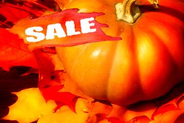FX №195014 Pumpkin on autumn leaves sales