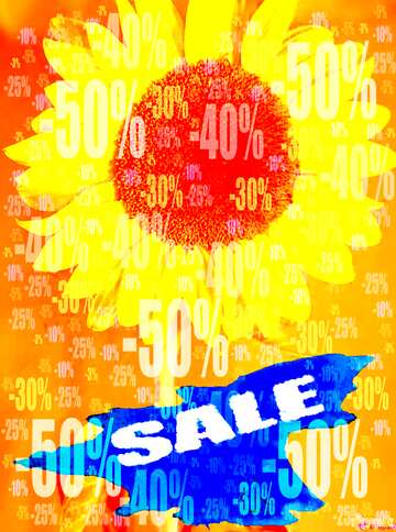 FX №195898  Summer Sale background Frame Sunflower Flower Store discount dark background.