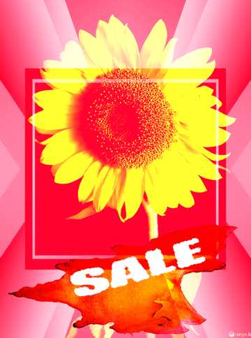 FX №195465 Summer Hot Sale background Frame Sunflower Flower