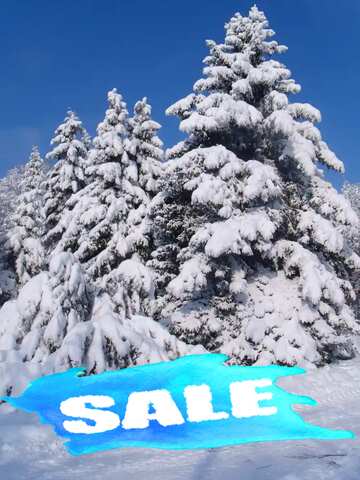 FX №195158 Snow Trees Sale Template Design Blue winter sales promo Background