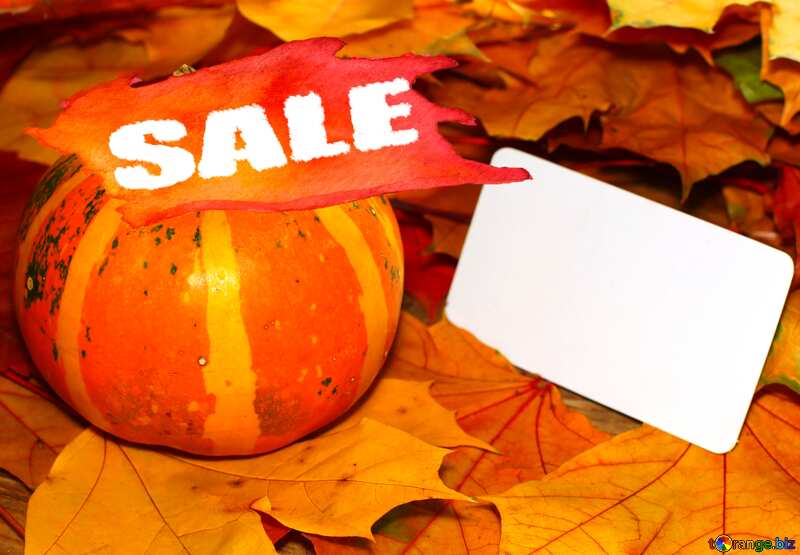 Sale Invitation autumn with pumpkin and autumn leaves №35186