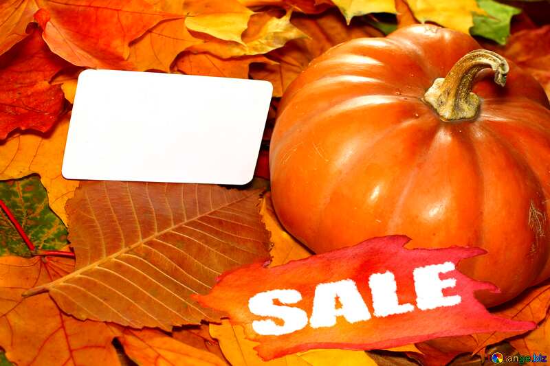 Autumn Sales Template Design Banner Background Letter Sale №35183