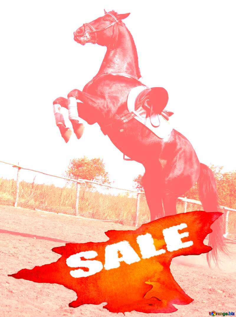 Sale background Horse Dance №2540