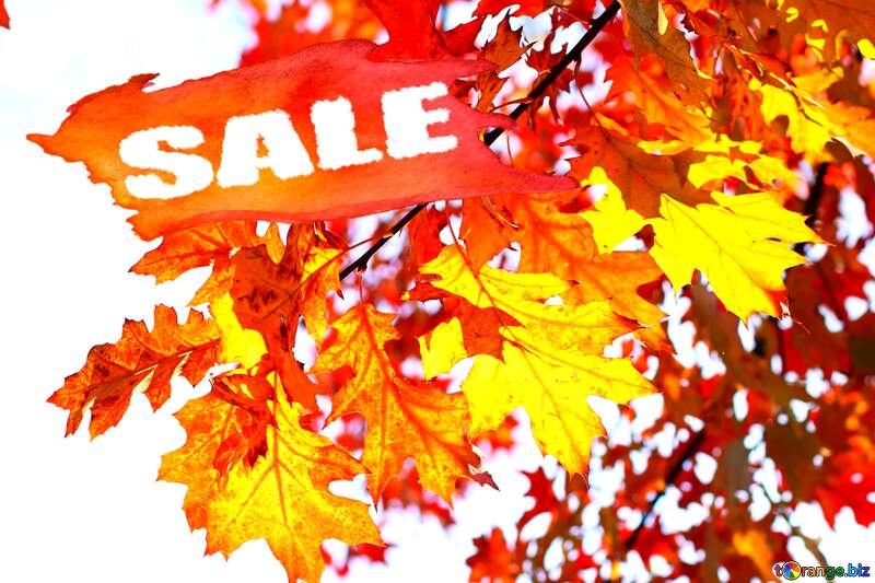 Autumn leaves sale discount banner design letter №38535