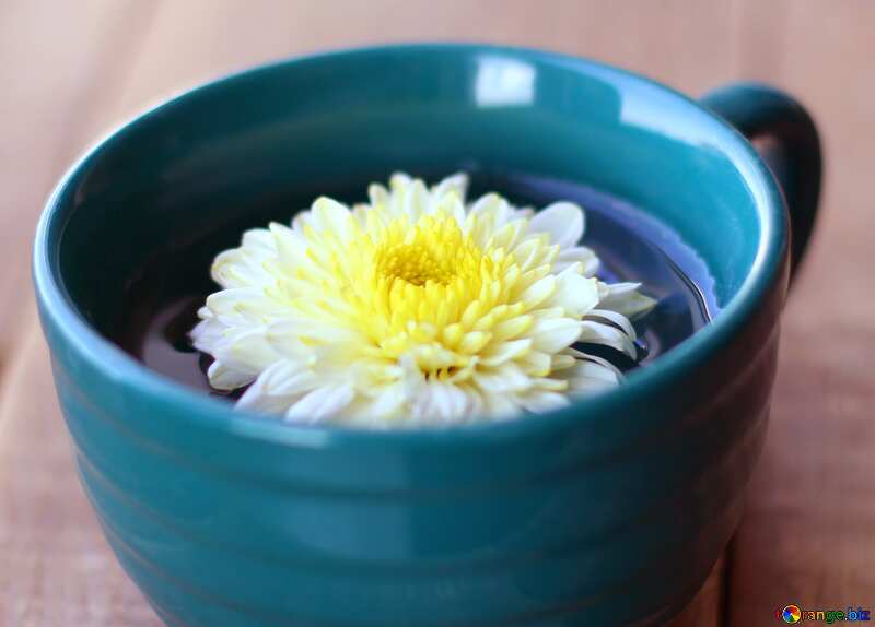 Flower Cup №36985