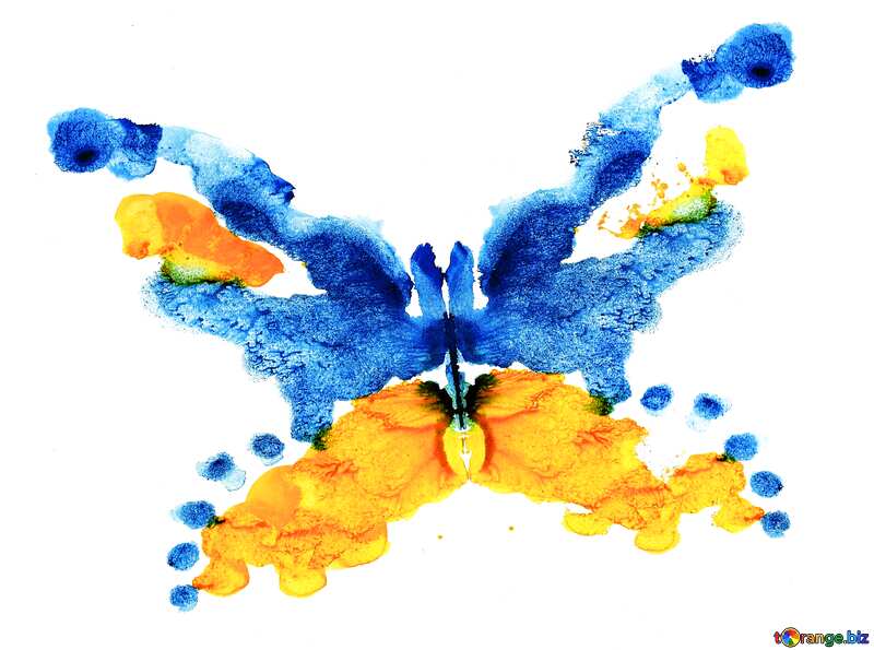 Drawing watercolor  butterfly №42689