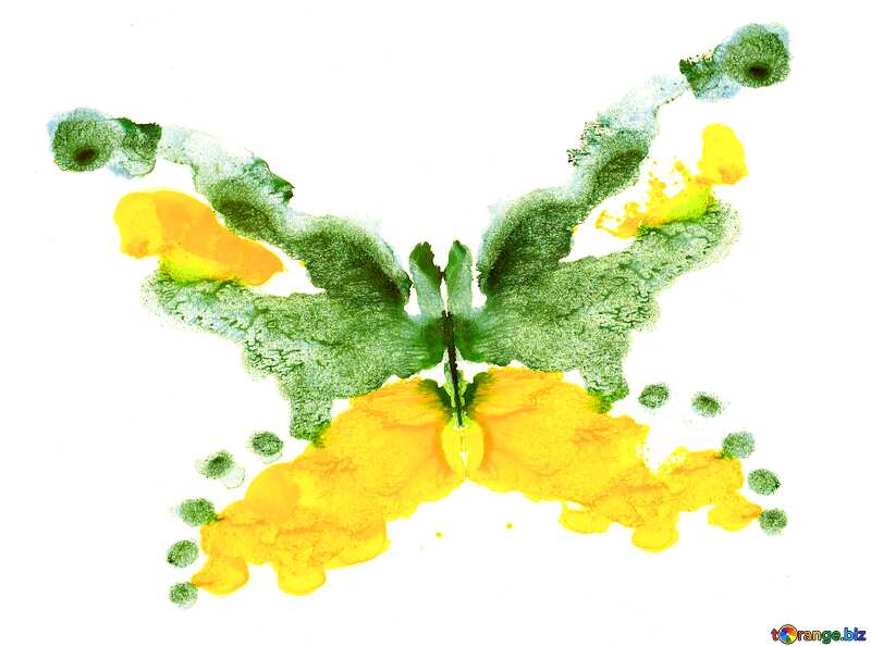 Drawing watercolor vivid  butterfly №42689