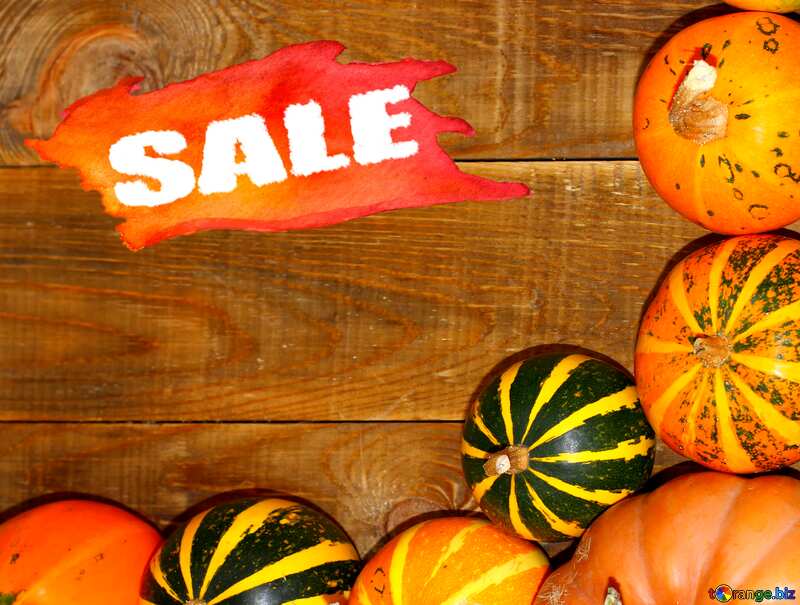 Autumn sale background with pumpkins №35213