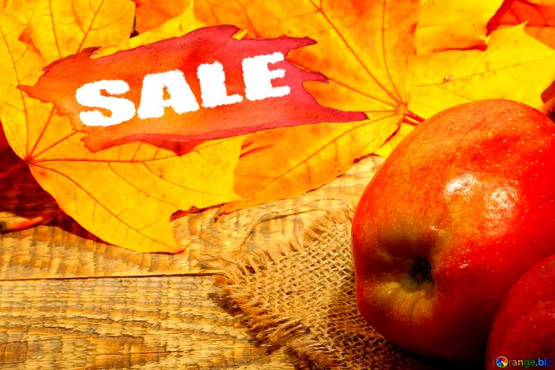 Autumn apples sale №35166