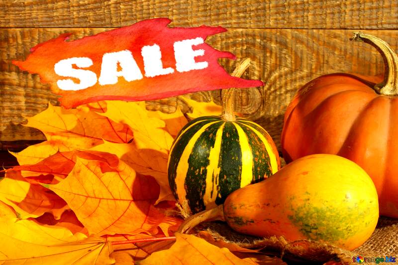 Image of pumpkins and autumn leaves sale discount banner №35419