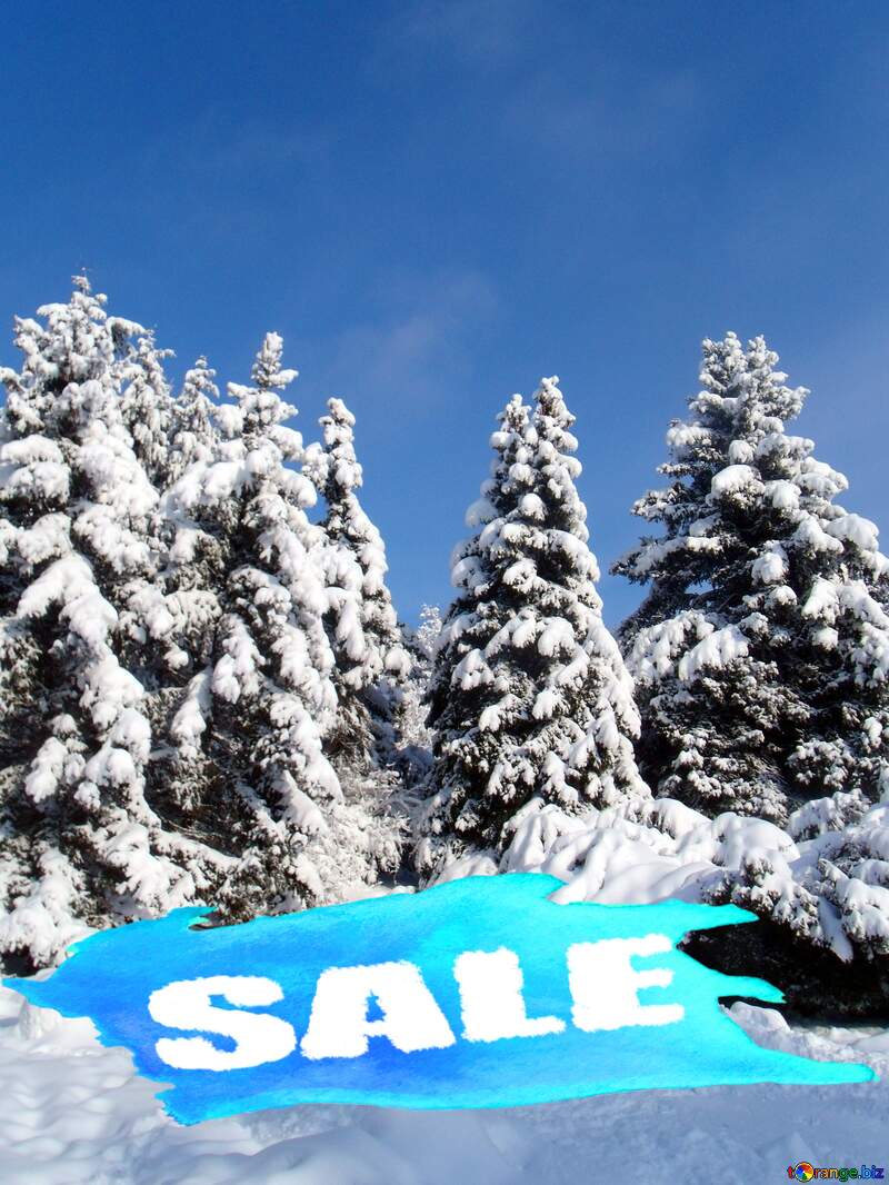 Winter sale №10576