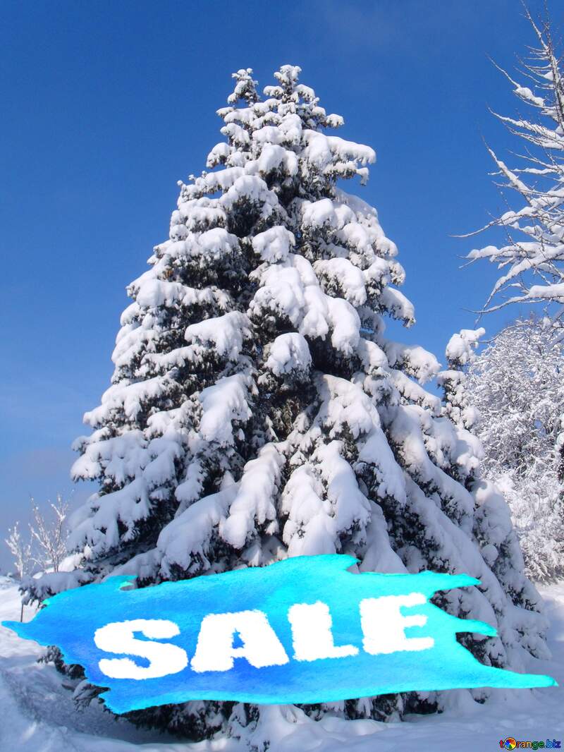 Snow tree winter sale №10551