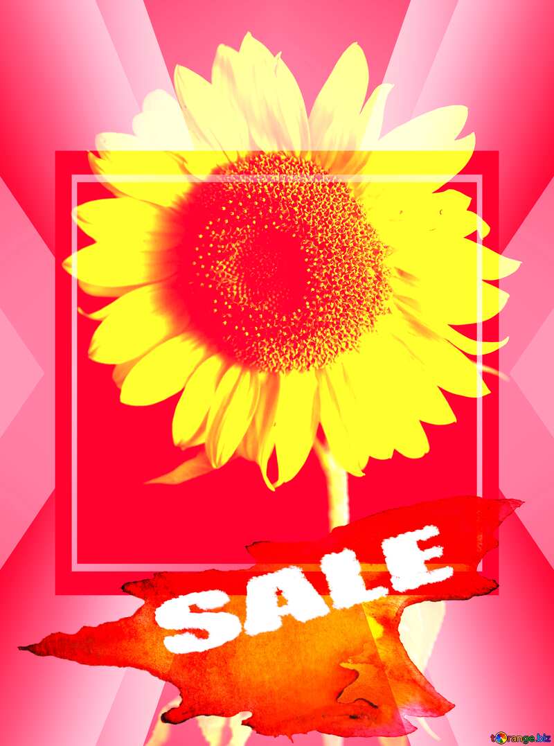 Summer Hot Sale background Frame Sunflower Flower №32798