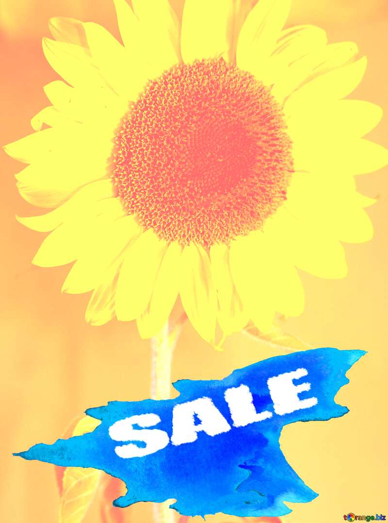 Summer Sale background Frame Sunflower Flower №32800