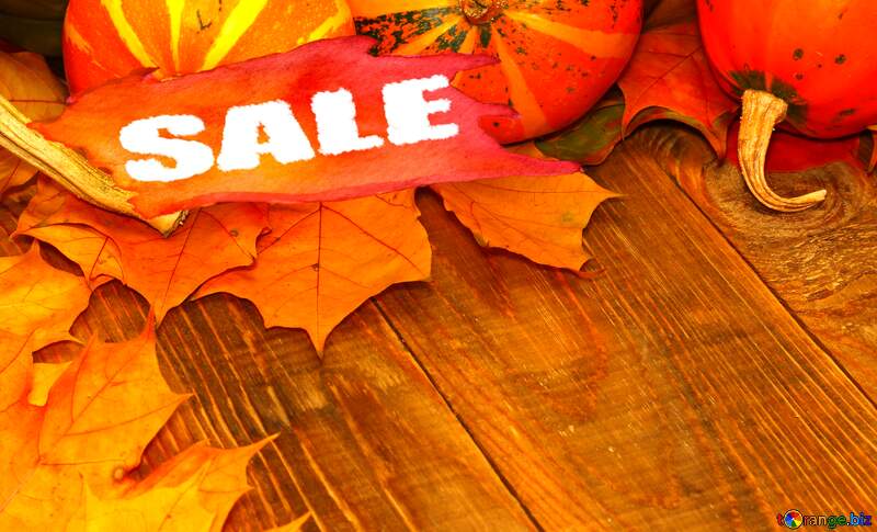 Autumn sale background with pumpkins on the table №35224