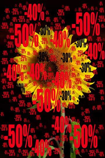 FX №196910  Sale offer discount template Sunflower Black Background