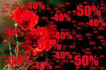 FX №196798 Beautiful background with poppies flower Sale offer discount template