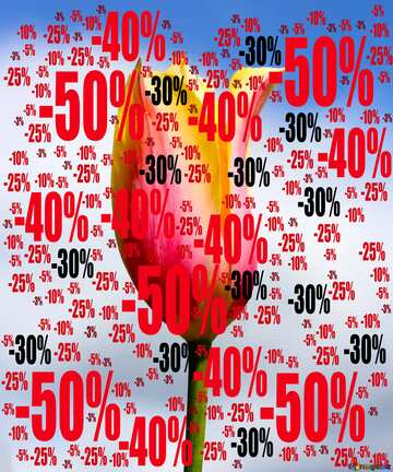 FX №196779 Flower of Tulip Spring Sale offer discount template