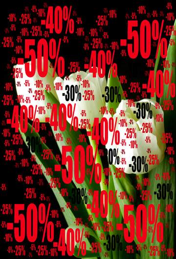 FX №196405 Tulips bouquet on a black background Sale offer discount template