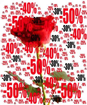 FX №197167  Sale offer discount template Background Rose