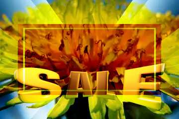 FX №197829 Close-up of dandelion flower Sales promotion 3d Gold letters sale background Template