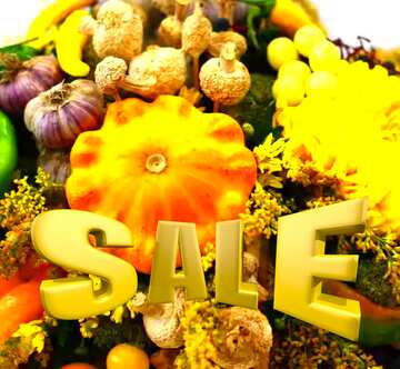 FX №197815 Autumn vegetables Sales promotion 3d Gold letters sale background