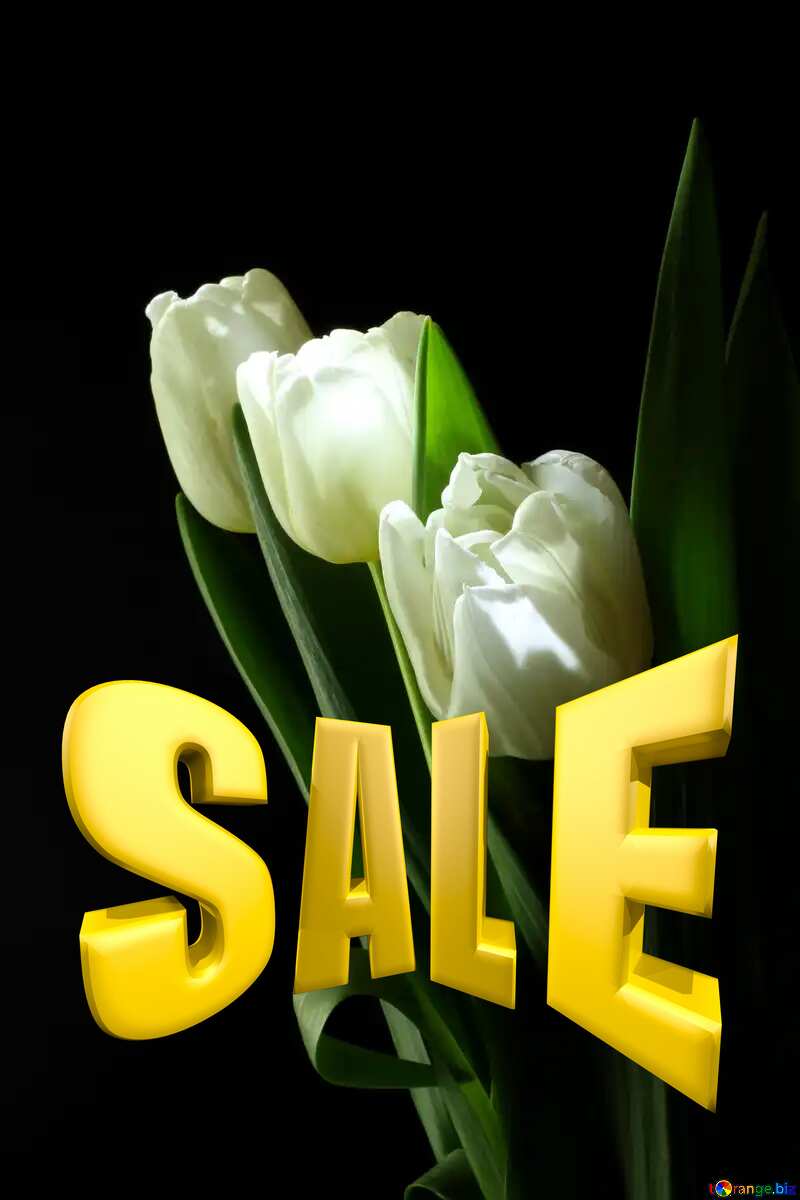 Tulips bouquet on a black background Sales promotion 3d Gold letters sale background №46273