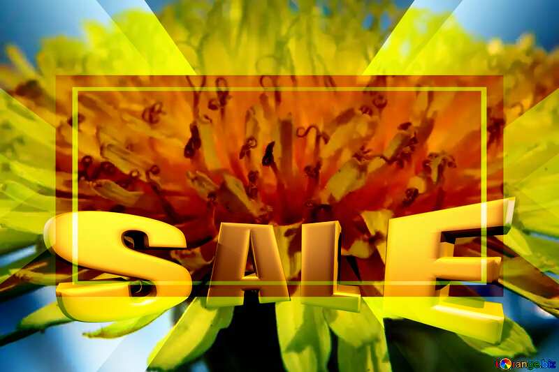 Close-up of dandelion flower Sales promotion 3d Gold letters sale background Template №46797