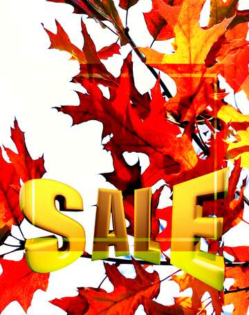 FX №198186  Sales promotion 3d Gold letters sale background Autumn Banner Template