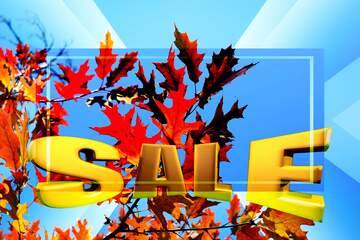 FX №198187  Sales promotion 3d Gold letters sale background Autumn Leaves