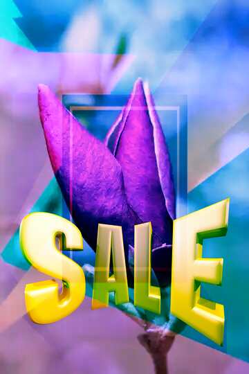 FX №198155 Pink spring bloom Sales promotion 3d Gold letters sale background Geometric Blue Frame Template
