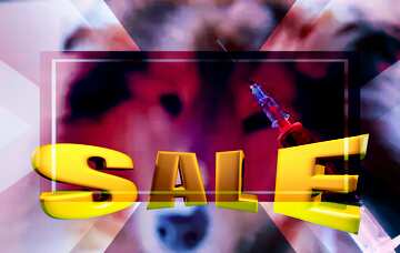 FX №198707 Sick dog Sales promotion 3d Gold letters sale background Veterinary Medicine Template
