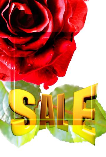 FX №198884  Rose flower Card Design Template Sales promotion 3d Gold letters sale background