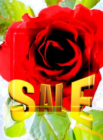 FX №198883  Banner Design Infographic Rose flower Template Sales promotion 3d Gold letters sale background