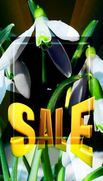 FX №198202 Download picture of flowers for sweetheart Sales promotion 3d Gold letters sale background Template