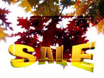 FX №198603 Autumn background Sales promotion 3d Gold letters sale