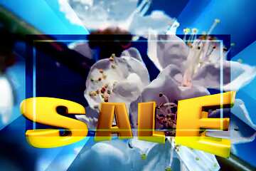 FX №198541 Flowers apricot tree Sales promotion 3d Gold letters sale background